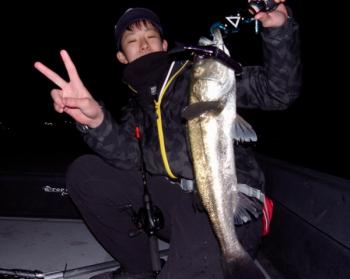 シーマジカル 釣果