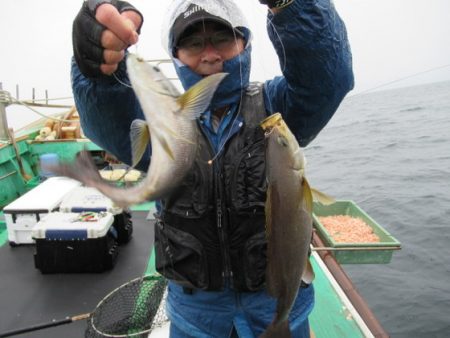 真祐丸 (しんゆうまる) 釣果