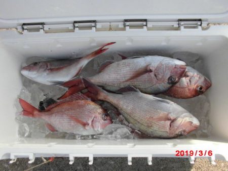 大進丸（新潟） 釣果