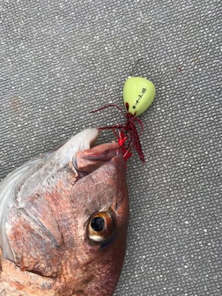 へいみつ丸 釣果