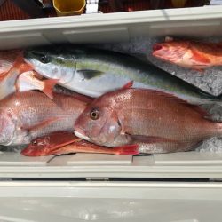 へいみつ丸 釣果