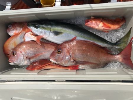 へいみつ丸 釣果