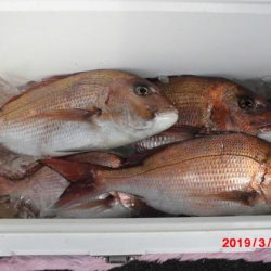 大進丸(新潟) 釣果