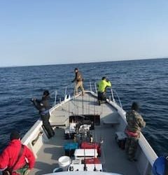 へいみつ丸 釣果