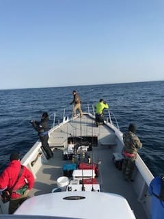 へいみつ丸 釣果