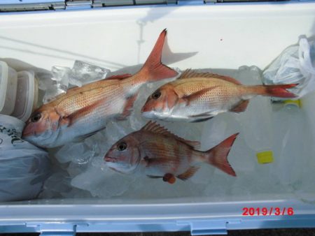 大進丸（新潟） 釣果