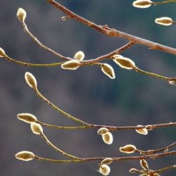 小菅トラウトガーデン 釣果