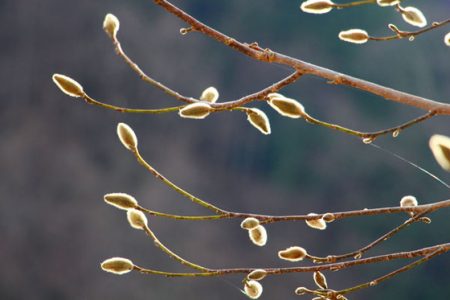小菅トラウトガーデン 釣果