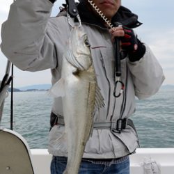 Marine T Design　マリンティーデザイン 釣果