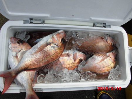 大進丸(新潟) 釣果