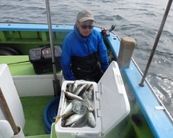 久里浜黒川本家 釣果