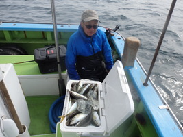 久里浜黒川本家 釣果