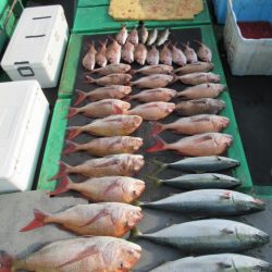 真祐丸 （しんゆうまる） 釣果