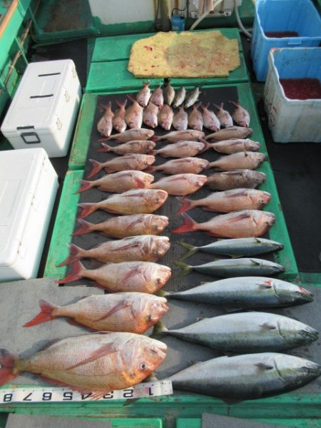 真祐丸 （しんゆうまる） 釣果