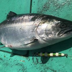 広進丸 釣果