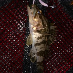 二見メバリング6