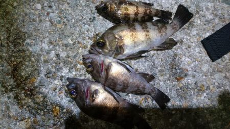 意外と潮が動かず大苦戦！！