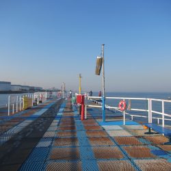 オリジナルメーカー海づり公園(市原市海づり施設) 釣果