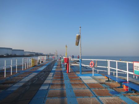 オリジナルメーカー海づり公園(市原市海づり施設) 釣果