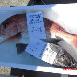 大進丸(新潟) 釣果