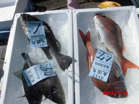 大進丸(新潟) 釣果