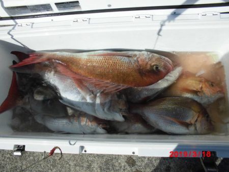 大進丸(新潟) 釣果