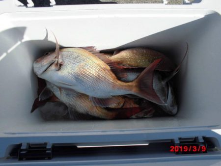 大進丸（新潟） 釣果