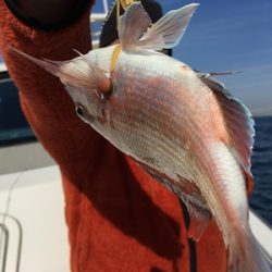 ミタチ丸 釣果