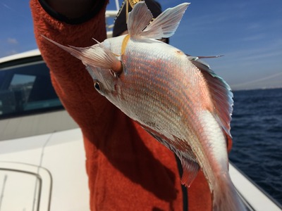 ミタチ丸 釣果