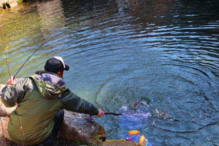 小菅トラウトガーデン 釣果