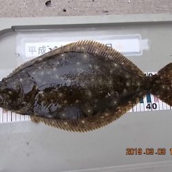 姫路市立遊魚センター 釣果