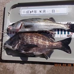 姫路市立遊魚センター 釣果