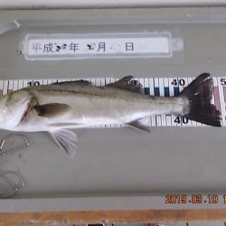 姫路市立遊魚センター 釣果