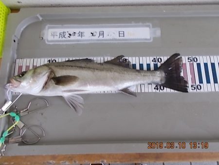 姫路市立遊魚センター 釣果