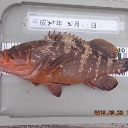 姫路市立遊魚センター 釣果
