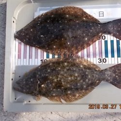 姫路市立遊魚センター 釣果