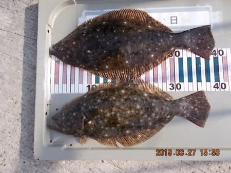 姫路市立遊魚センター 釣果