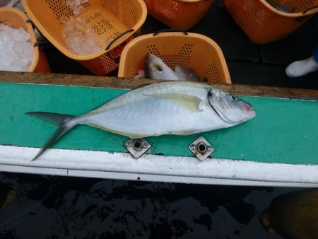 フィッシングハウス伊藤 釣果