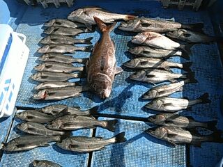 フィッシングガイド りょう 釣果