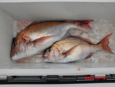 大進丸(新潟) 釣果