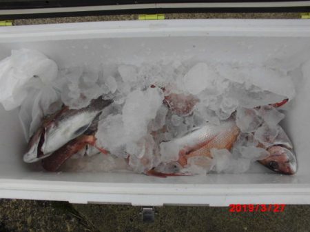 大進丸（新潟） 釣果