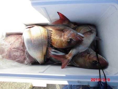大進丸（新潟） 釣果