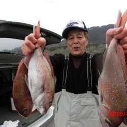 大進丸(新潟) 釣果