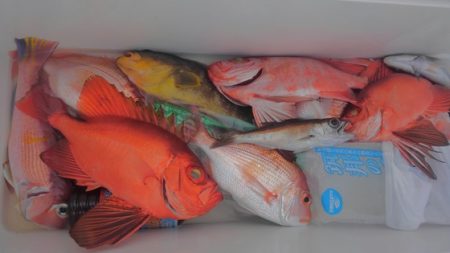 遊漁船 新鋭丸 釣果