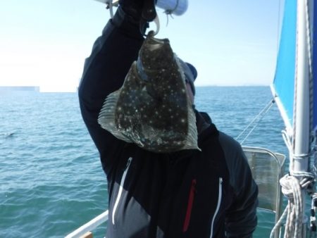 遊漁船 幸友丸 釣果