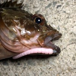 二見ガシリング1