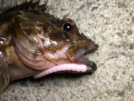 二見ガシリング1