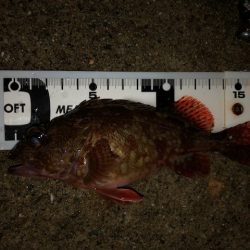 神戸ガシリング1