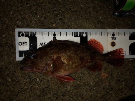 神戸ガシリング1