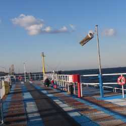 オリジナルメーカー海づり公園(市原市海づり施設) 釣果